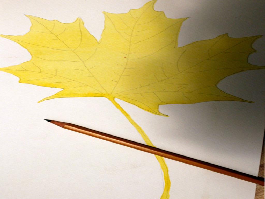 пошаговый мастер класс рисования осеннего листка акварелью