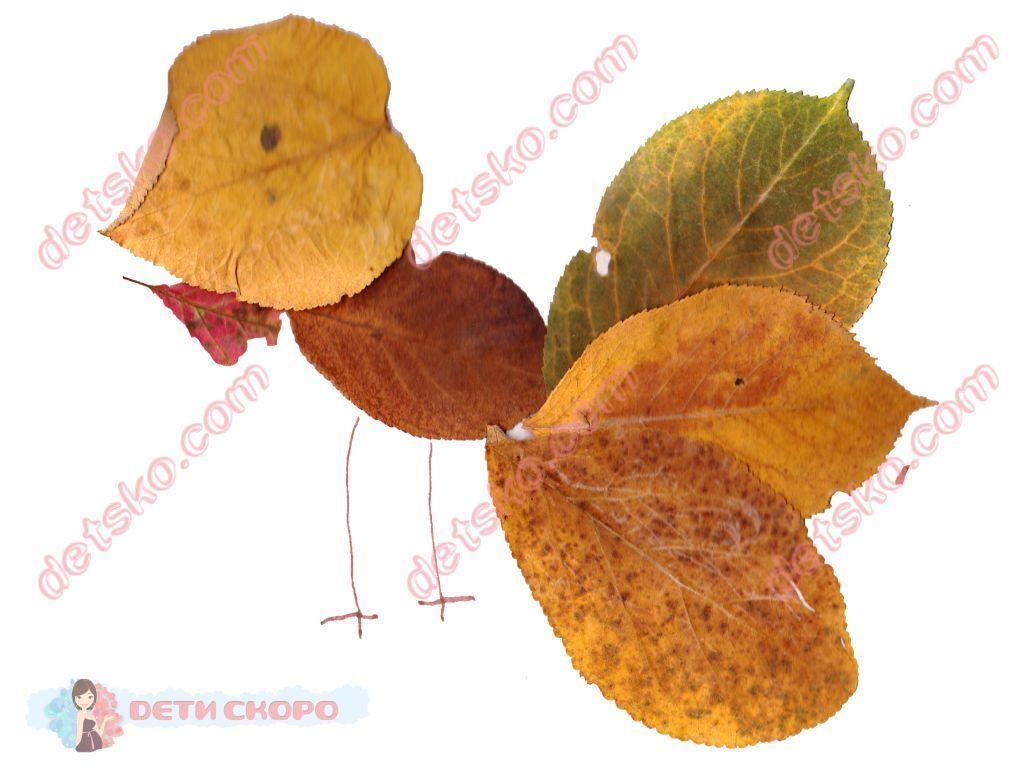 Первый класс. Уроки труда. Урок 10. Аппликация из природных материалов &amp;amp;amp;amp;amp;amp;amp;amp;amp;laquo;Петушок&amp;amp;amp;amp;amp;amp;amp;amp;amp;raquo;.