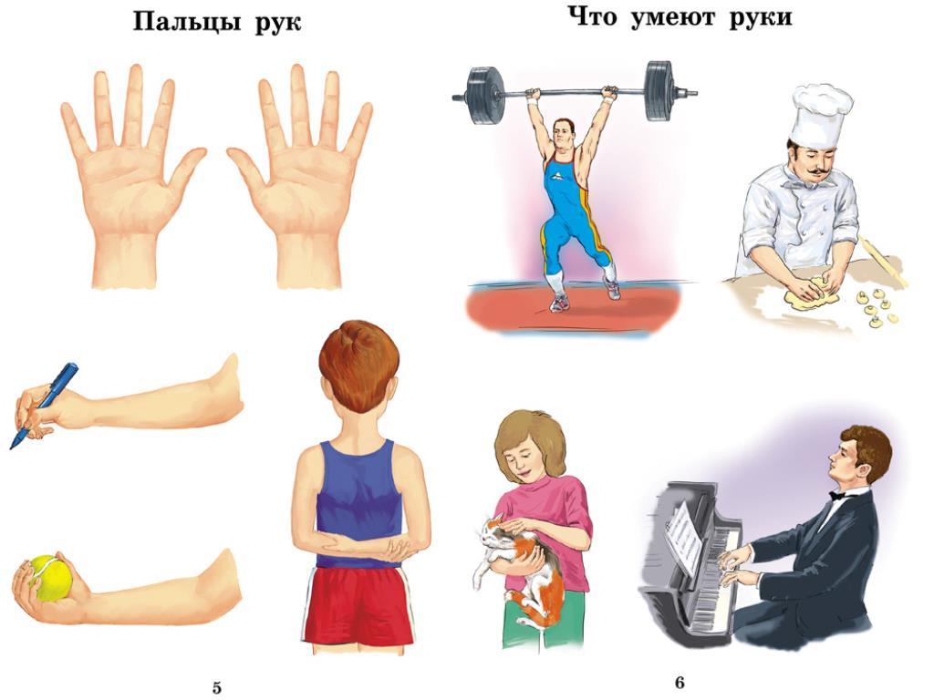 Что нужно телу человека. Мой организм занятие для дошкольников. Занятие части тела для дошкольников. Тема человек для детей. Человек для дошкольников.