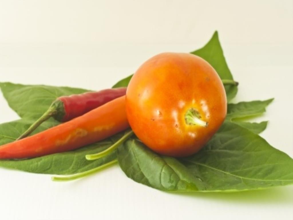 Правила приготовления прикорма