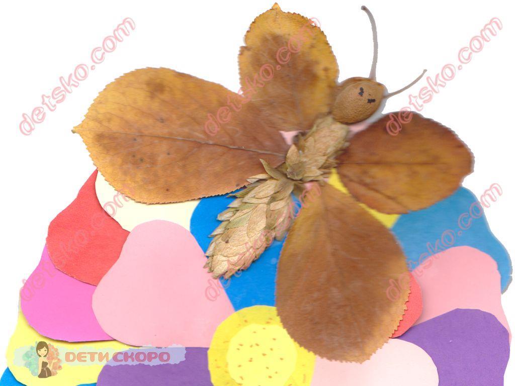 Первый класс. Уроки труда. Урок 9. Аппликация из природных материалов &amp;amp;amp;amp;amp;amp;amp;laquo;Бабочка&amp;amp;amp;amp;amp;amp;amp;raquo;.