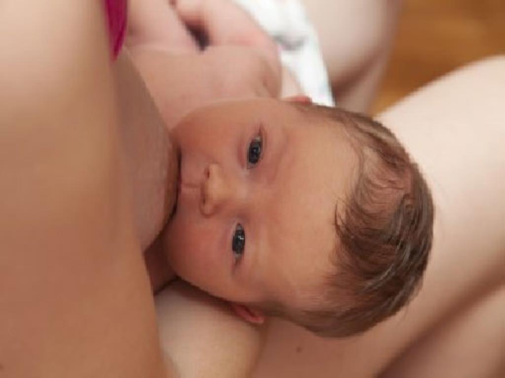 что такое импринтинг