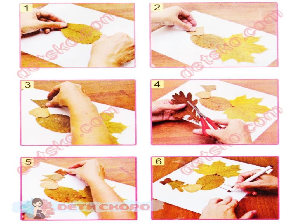 Первый класс. Уроки труда. Урок 10. Процес создания аппликации из природных материалов &amp;amp;amp;amp;amp;amp;amp;amp;amp;laquo;Петушок&amp;amp;amp;amp;amp;amp;amp;amp;amp;raquo;.