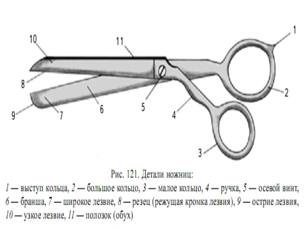 Первый класс. Уроки труда. Урок 3. Аппликация «Весёлая многоножка». Ножницы