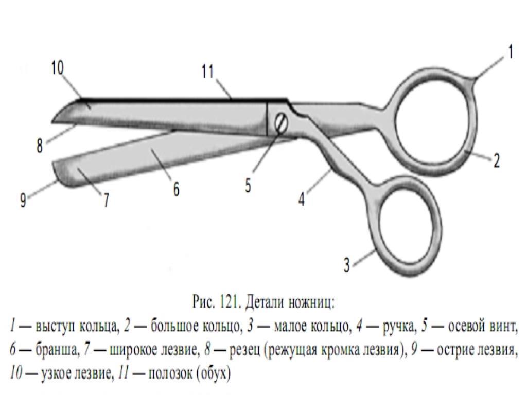 Первый класс. Уроки труда. Урок 3. Аппликация &amp;amp;amp;amp;amp;amp;amp;amp;amp;amp;amp;amp;amp;amp;amp;laquo;Весёлая многоножка&amp;amp;amp;amp;amp;amp;amp;amp;amp;amp;amp;amp;amp;amp;amp;raquo;. Ножницы