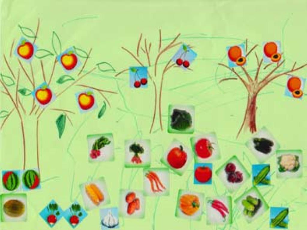 посадить и вырастить плоды