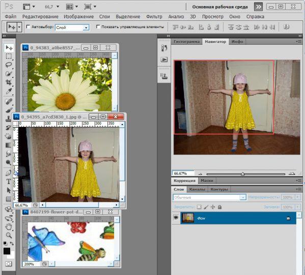 Программа Adobe Photoshop. Создание коллажа.