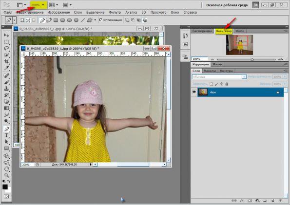 Программа Adobe Photoshop. Рабочий слой.