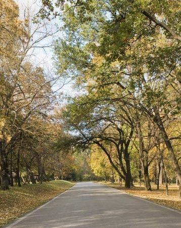 Стихотворение Икебана