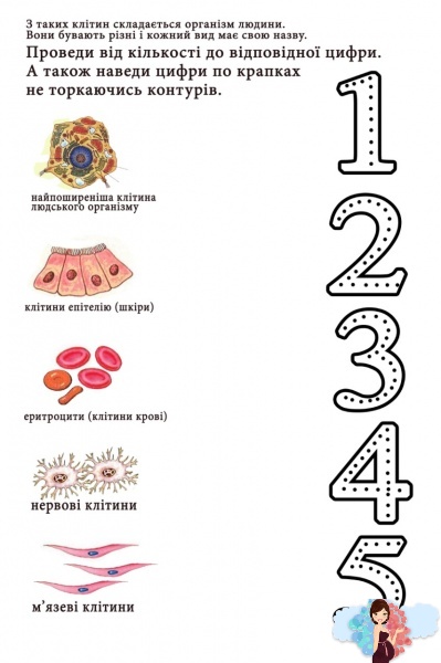 Прописи для дітей з цифрами. Вчимо цифри від 1 до 5. Вчимо з дошкільнятами про людський організм