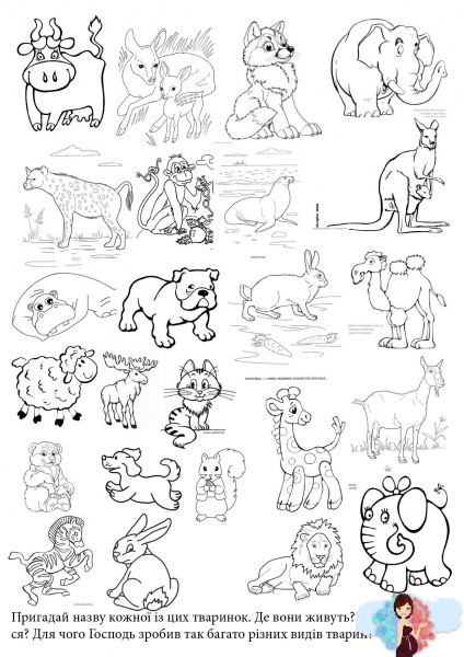 Веселая раскраска с животными для деток 5 лет